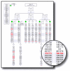 Pedigree drawing: click for enlargement